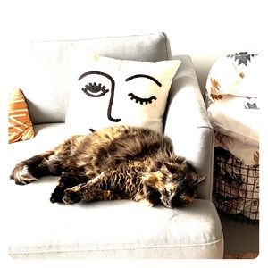 Urban outfitters pillow